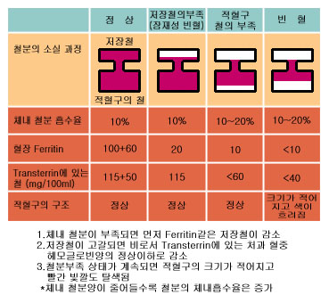 의약품 이미지